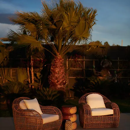 Shanti By Cura Collection